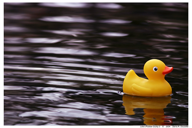 Julie's Rubber Ducky 3