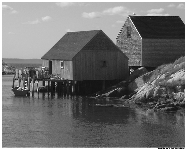 Lobster Shanties