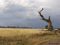 berridale colour feb 2004