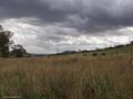 STORMY LOOK COWRA NSW JANUARY 2004