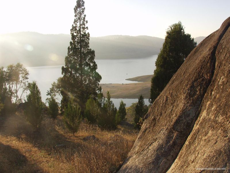 DAM morming wyangla Dam NSW 2004