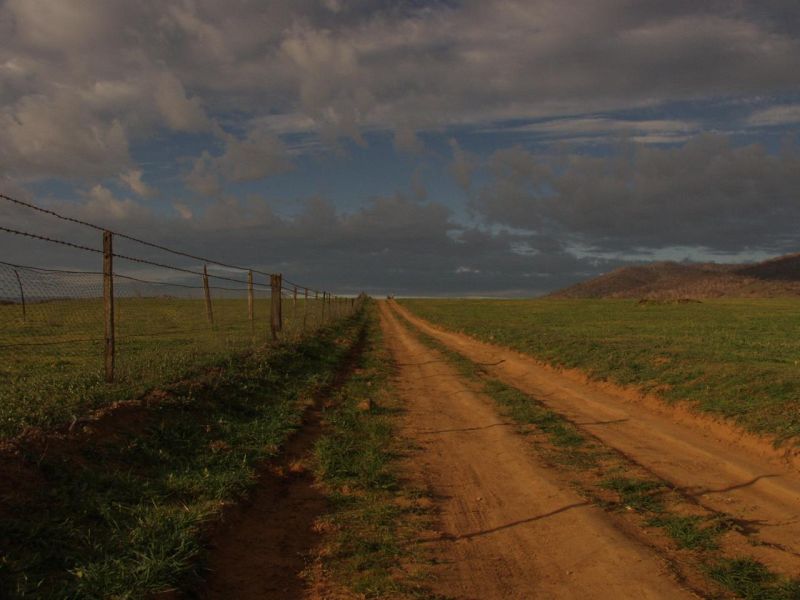 ROAD TO BLISS SNOWY RIVER NSW