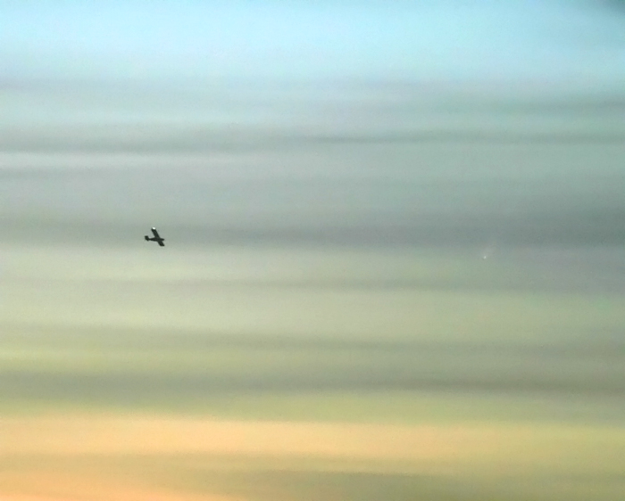 Comet McNaught at 5:03 PM