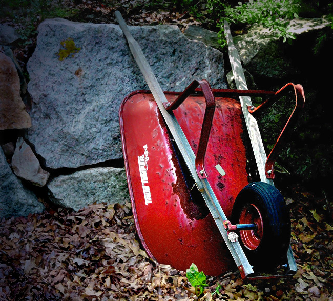 Day 10 Wheelbarrow