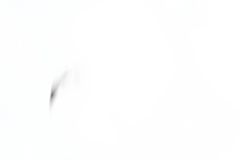 Gesture