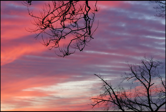 Christmas Sunset I