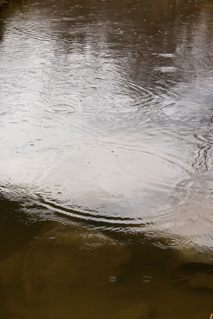 comp_water_1_283_8307-01.jpg
