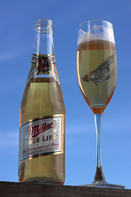 Perfect with that Trophy Fish