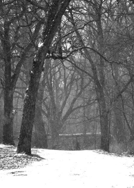 20071201_3sm.jpg