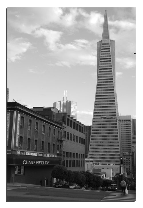 Architectural Juxtapositioning