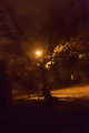 Hurricane Sandy