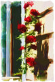 Rose impressions