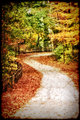 Grenloch Lake Park