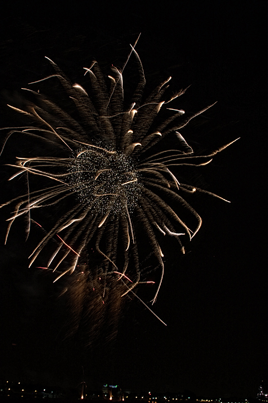 The Dandelion
