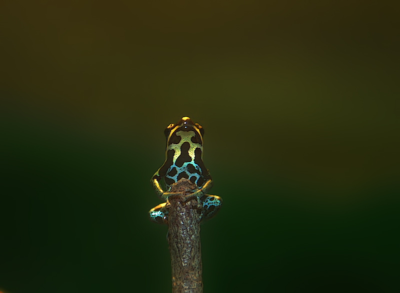 symIMG_3544