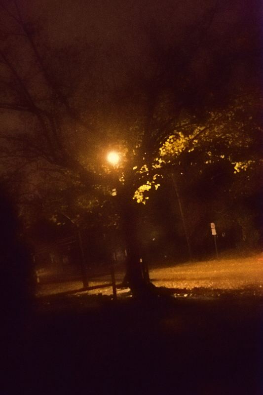 Hurricane Sandy
