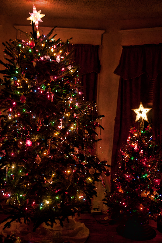 Two Trees