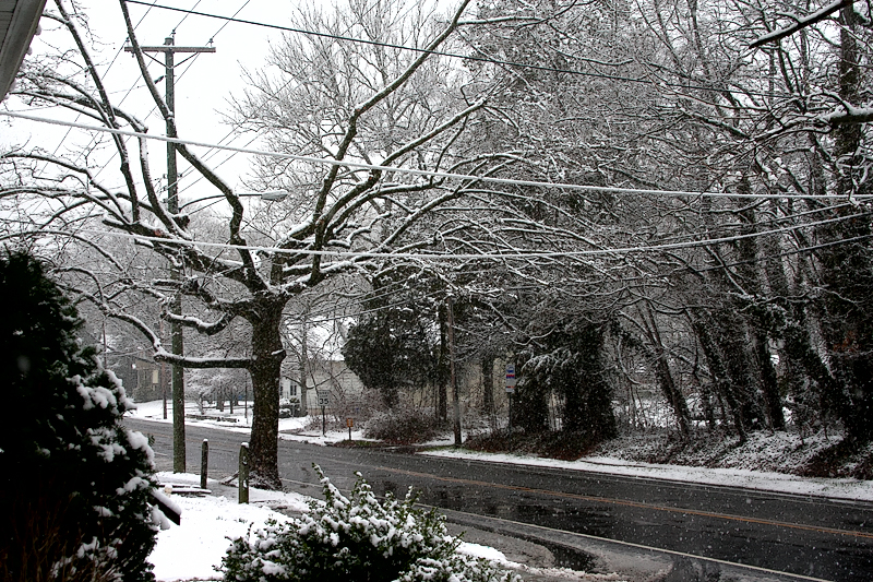 springsnowIMG_0052
