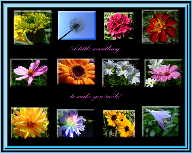 collage