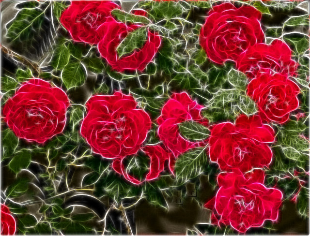 Day 21 - Rose Red