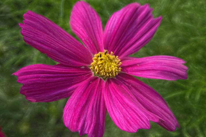 Touch of Yellow