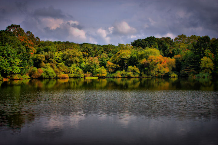 Tippens Pond