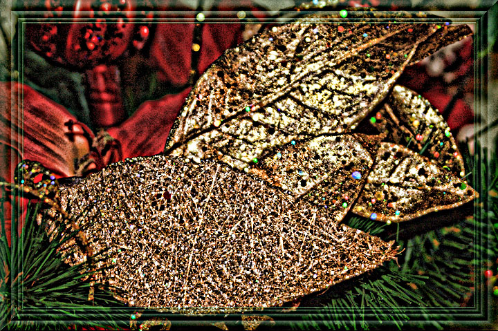 Gold Leaves