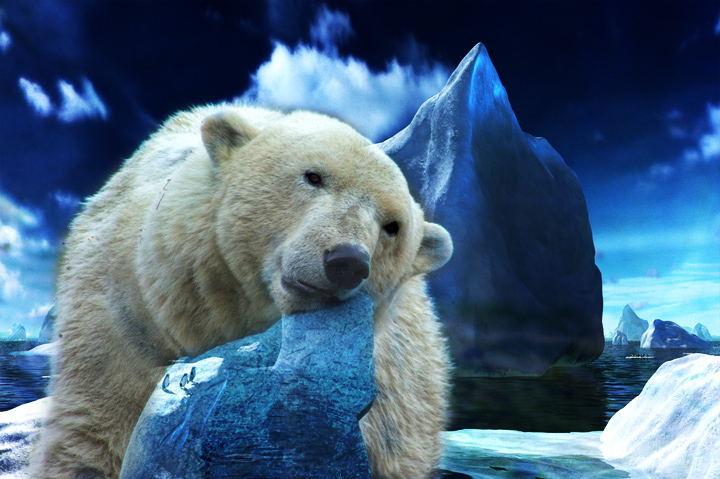Polar Dreams
