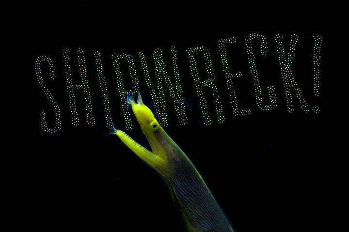 shipwreck