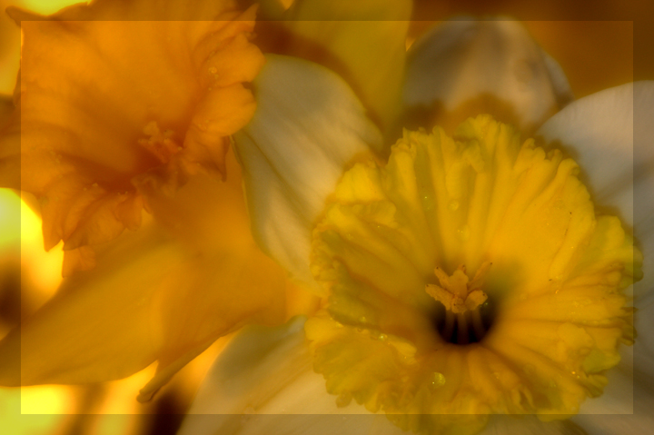 Welcoming April