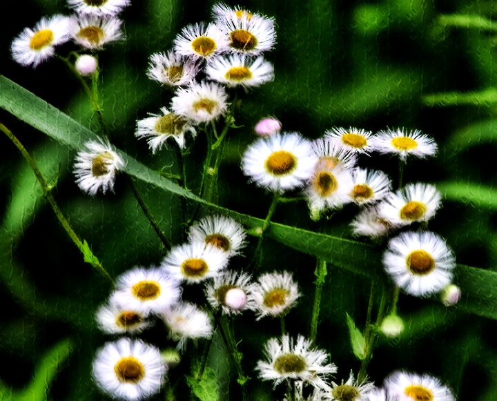 In dreams