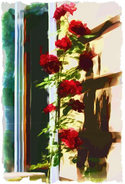 Rose impressions