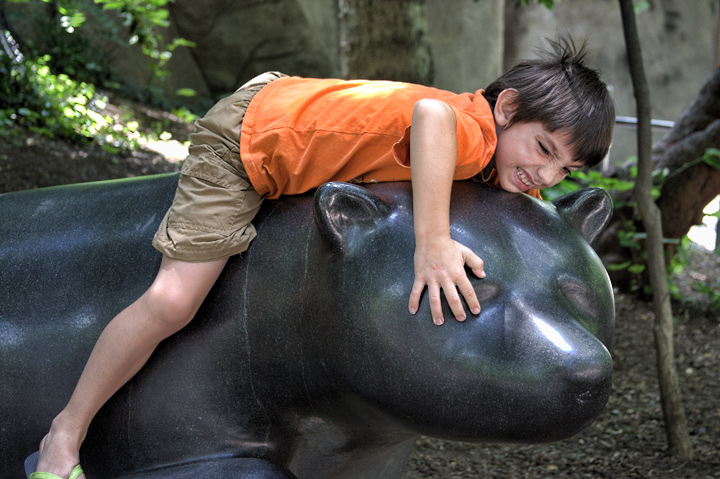 Bear Wrestling
