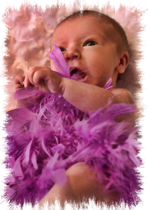 Feather Boa