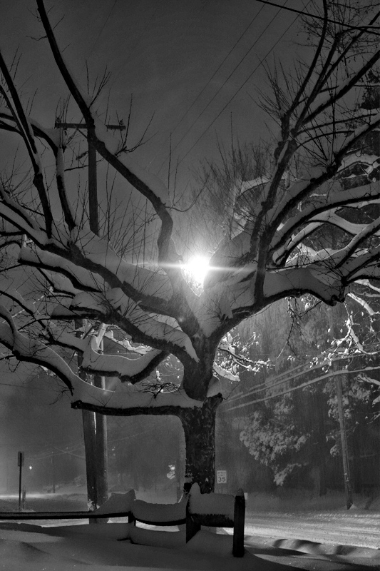 December Snow