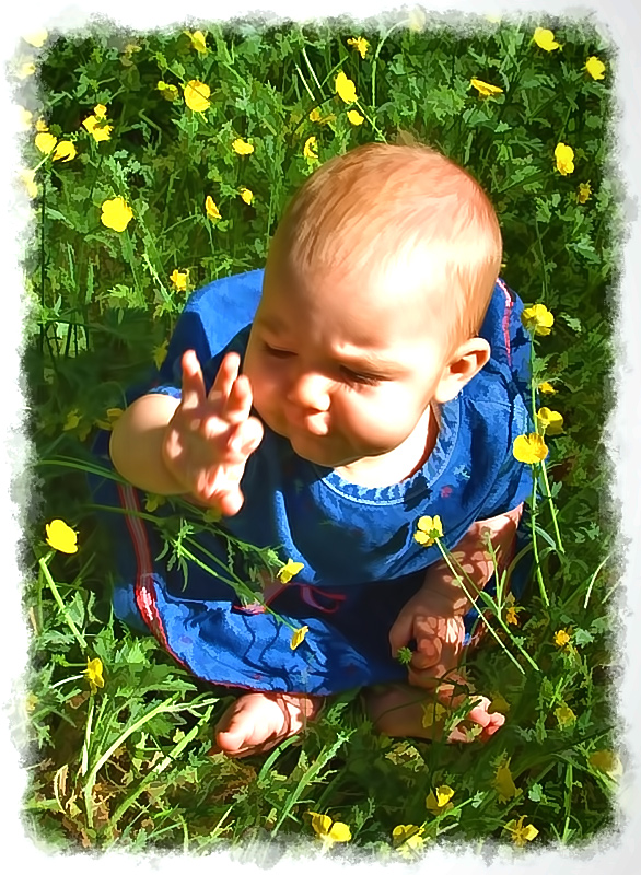 Buttercup