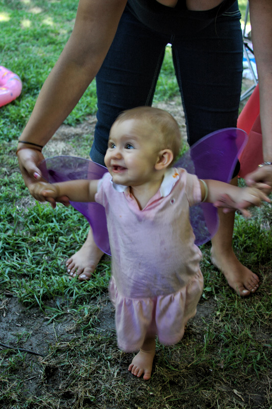 Baby Butterfly