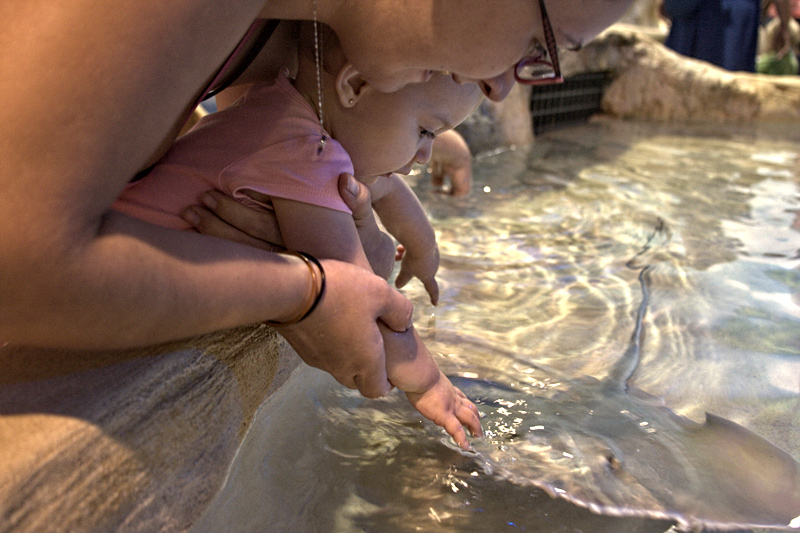 Stingray Beach