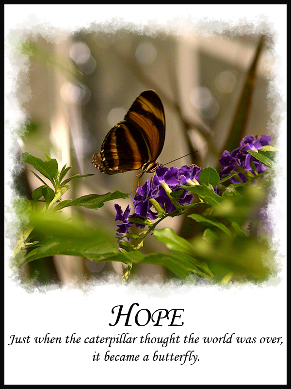 motivational2
