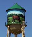 Horses Up High