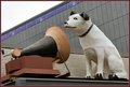 His Master's Voice