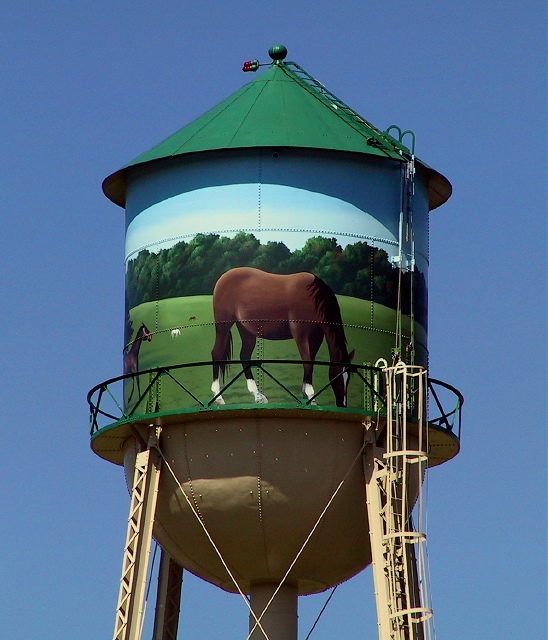 Horses Up High