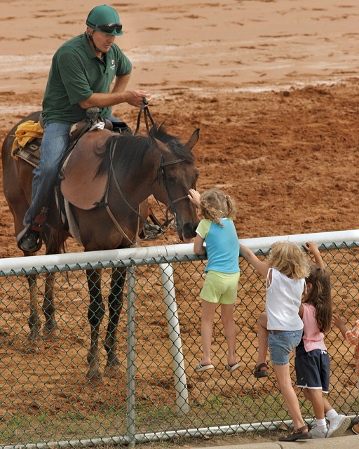 to pet the pony