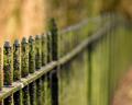 IMG_1763small.jpg