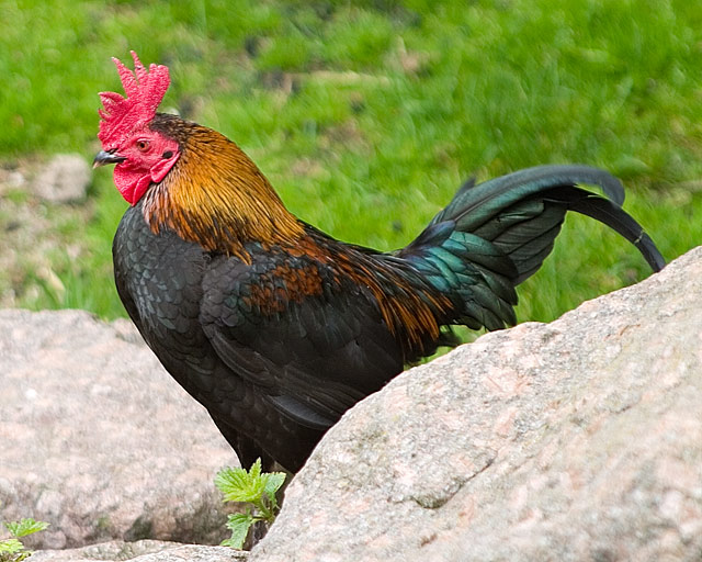 CRW_3215.jpg