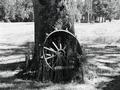 Forgotten