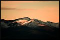 Mountain Blush