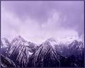 Snowcaps