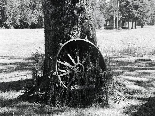 Forgotten