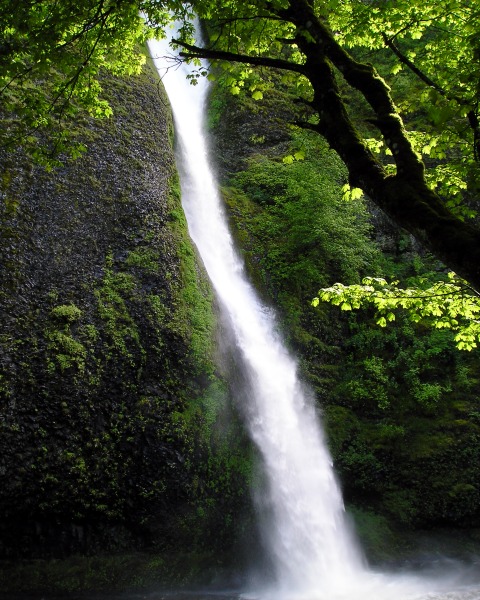 Horsetail Falls